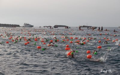Rules Tabarca-Santa Pola Open Waters Swim 2023